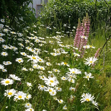 Waldschloss Appartement