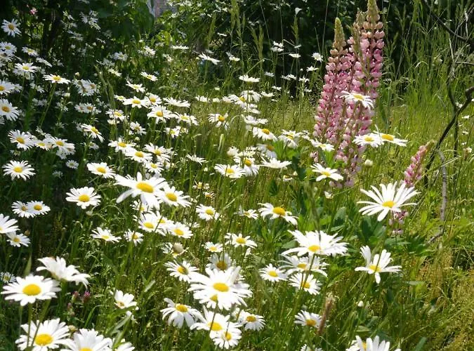Waldschloss Apartamento